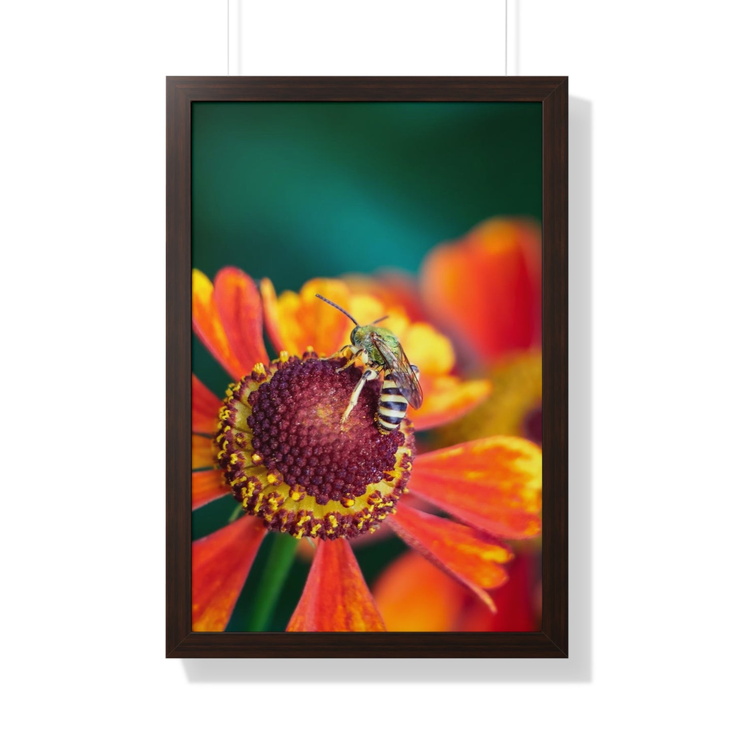 Fashionable Sweat Bee Framed Matte Print