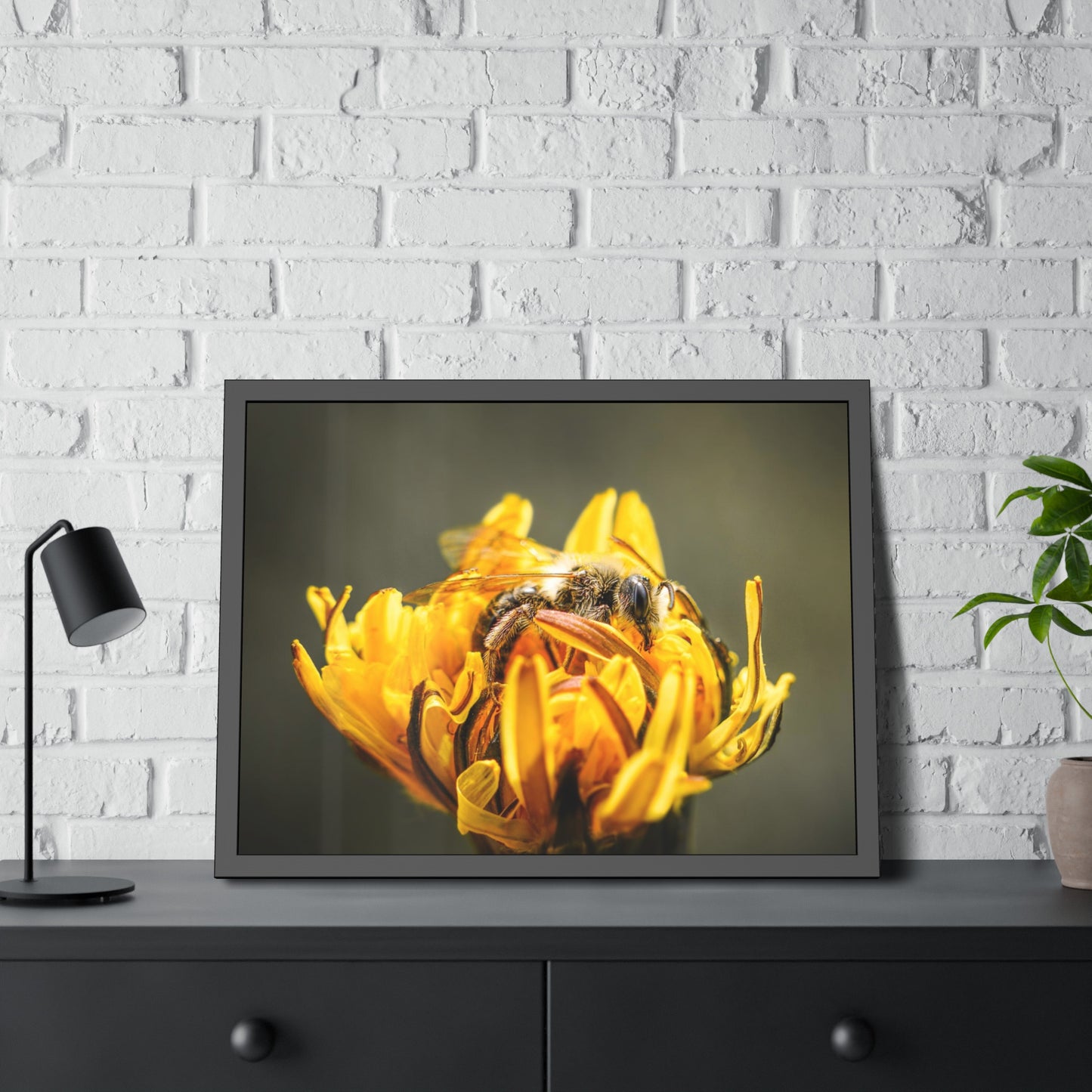 Macro Bee Pollinating Dandelion Framed Print | Nature Photography