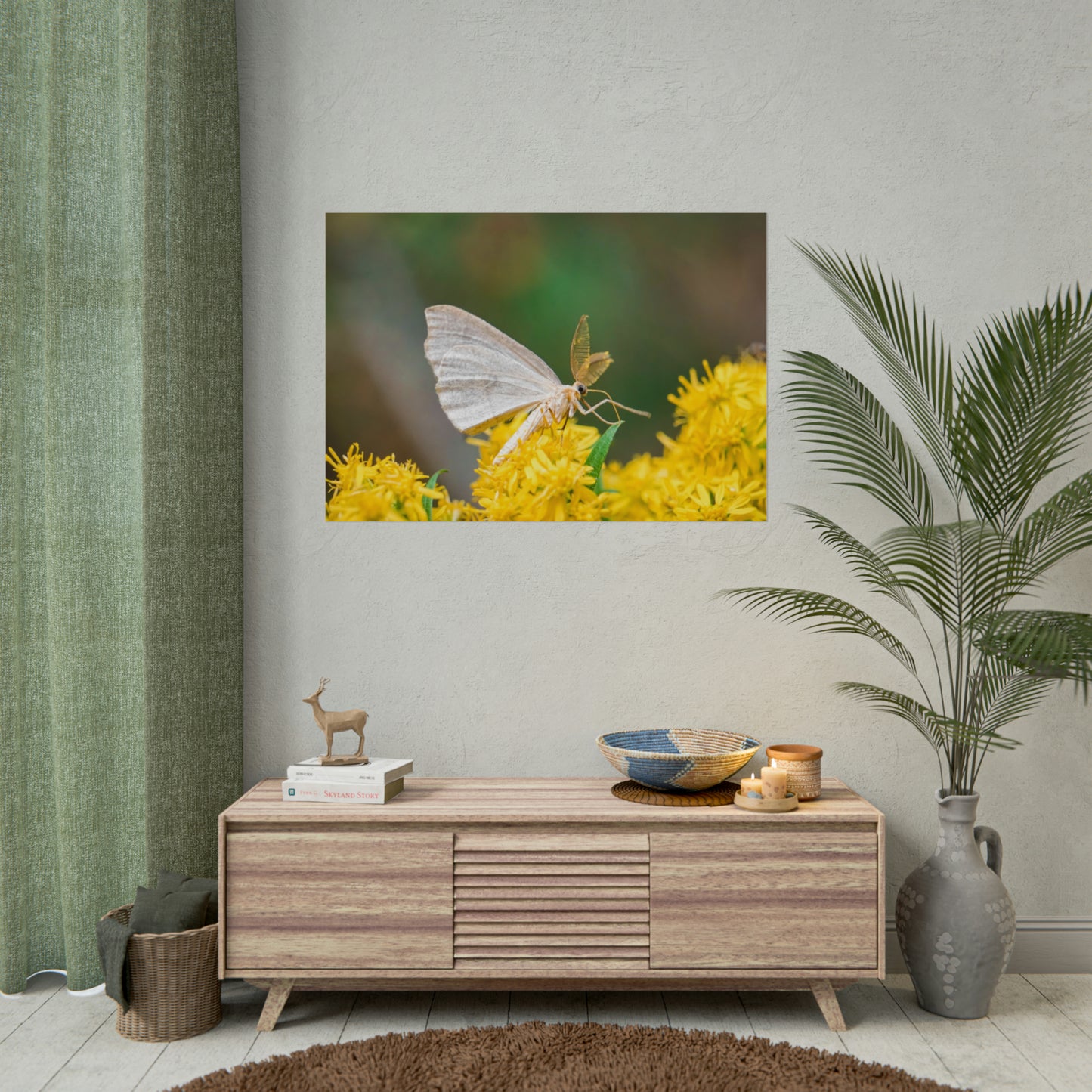 Curious Moth Fine Art Print