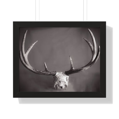 Ghosts of Deers Past Framed Matte Print