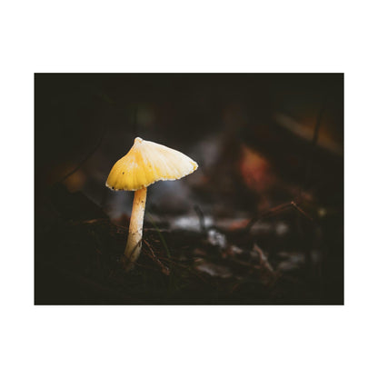 Mystical Magical Mushroomland Fine Art Print