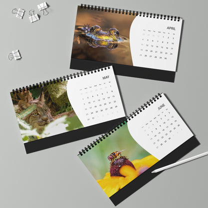 Critters of Whimsy 2027 calendar pages for April through June, featuring a frog, a tufted-eared Canadian Lynx, and a flower fly on a coneflower
