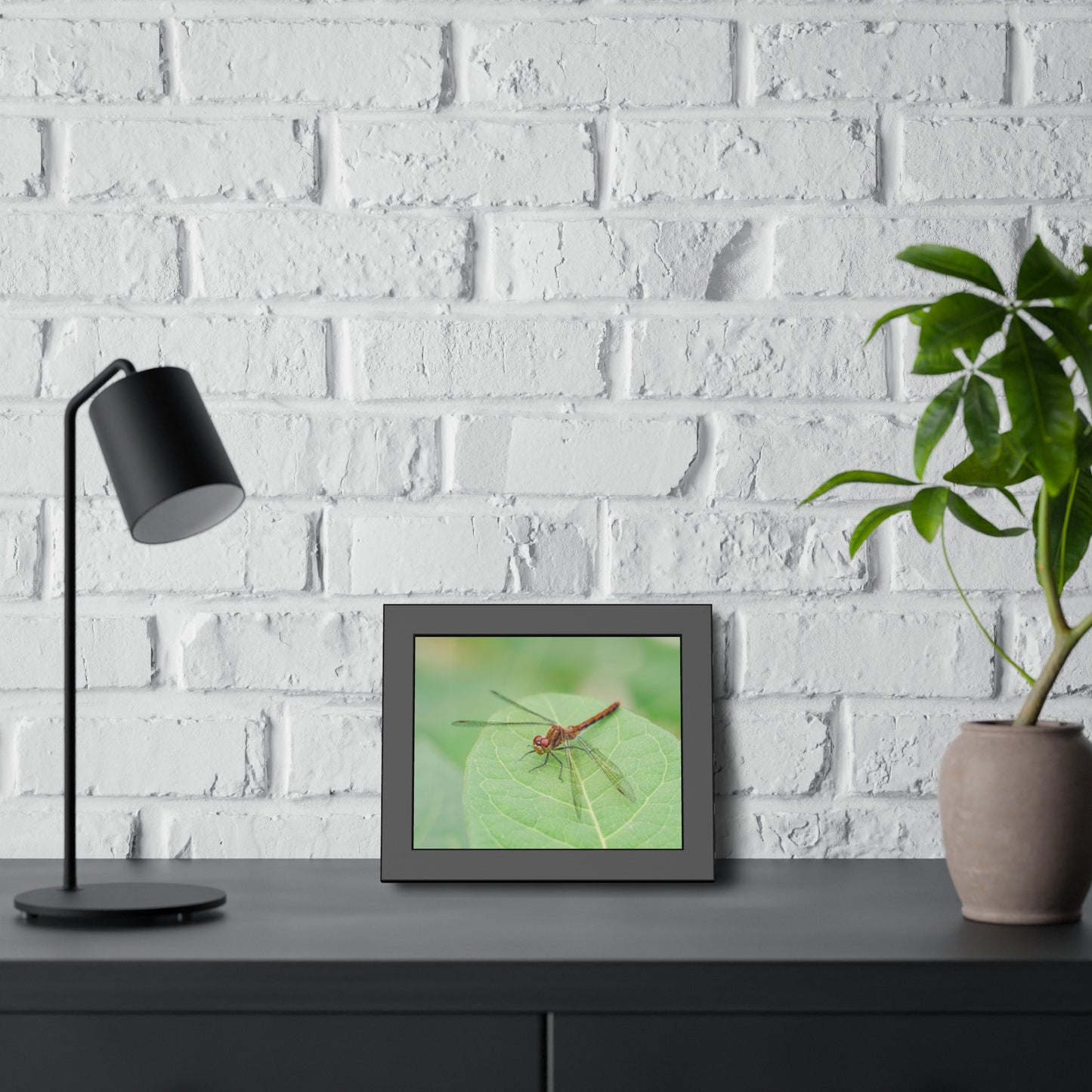 Dragonfly Poses on Leaf Framed Print | Nature Photography