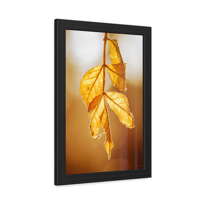 Leaves of Gold Framed Fine Art Photograph