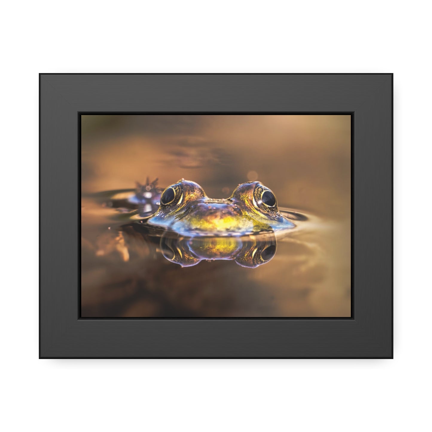Duality of Frog Framed Print | Nature Photography