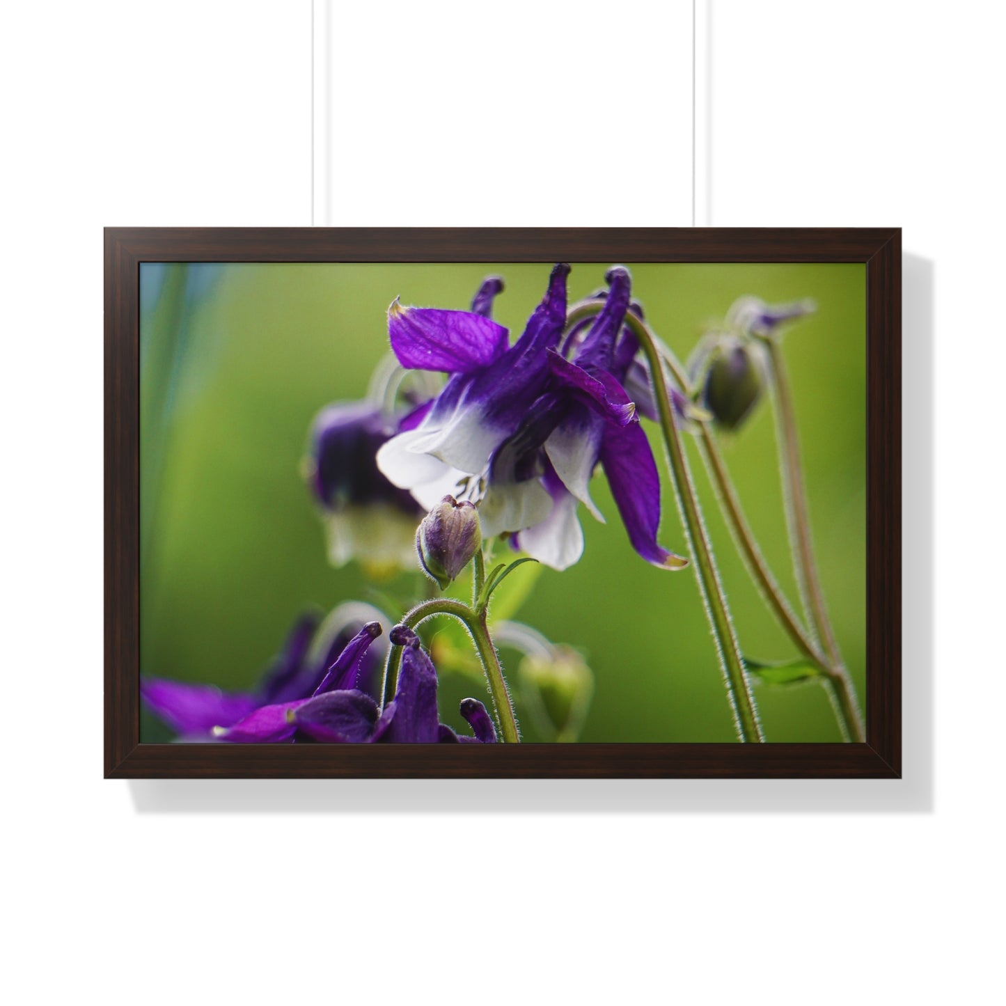 Spring Blooms Framed Matte Print