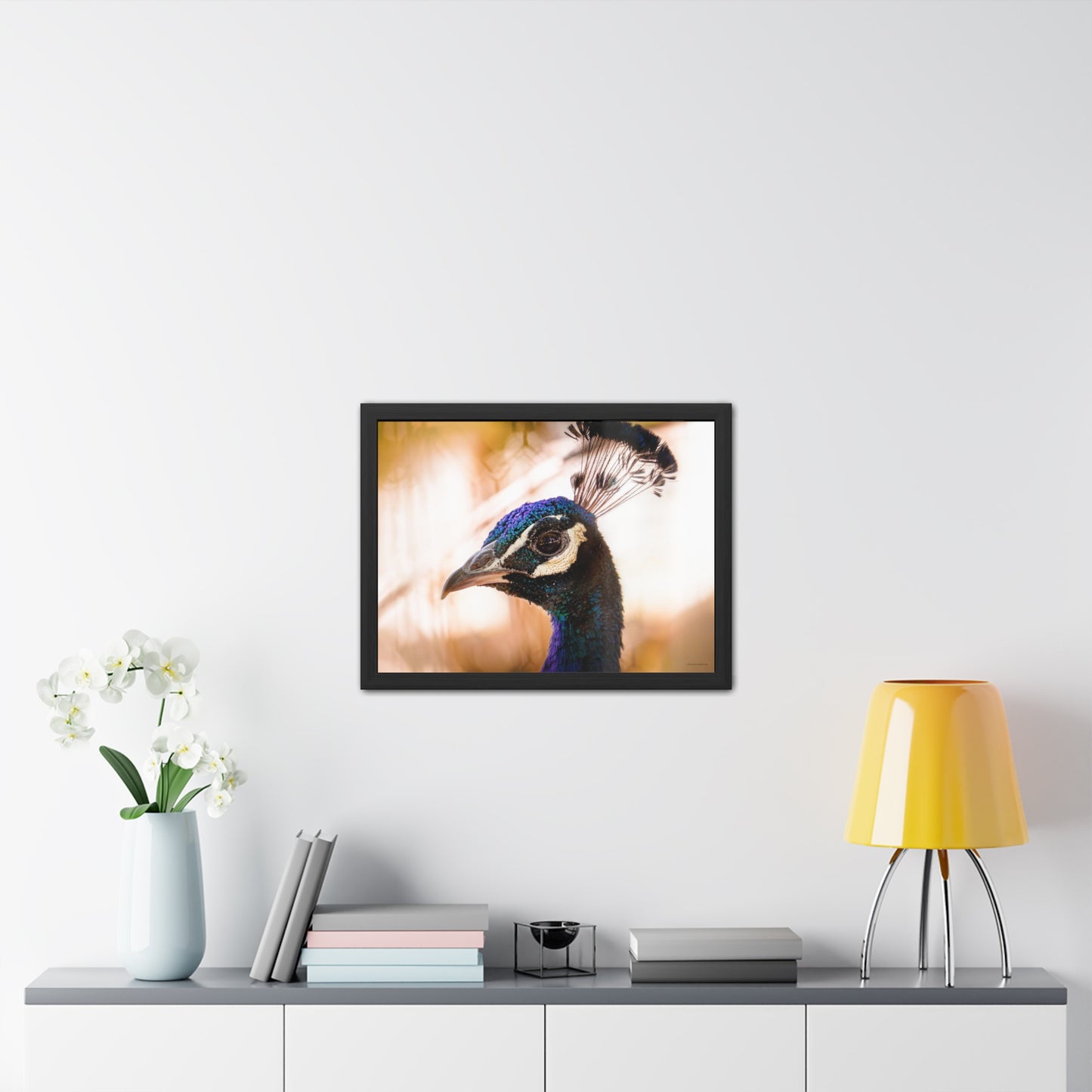 Peculiar Peacock Framed Fine Art Photograph