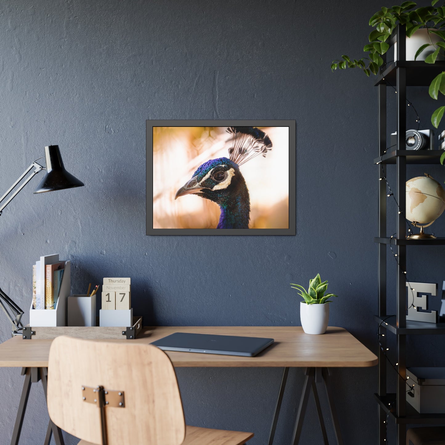 Peculiar Peacock Framed Print | Nature Photography