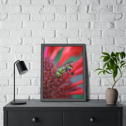Beautiful Green Bee Framed Print | Nature Photography