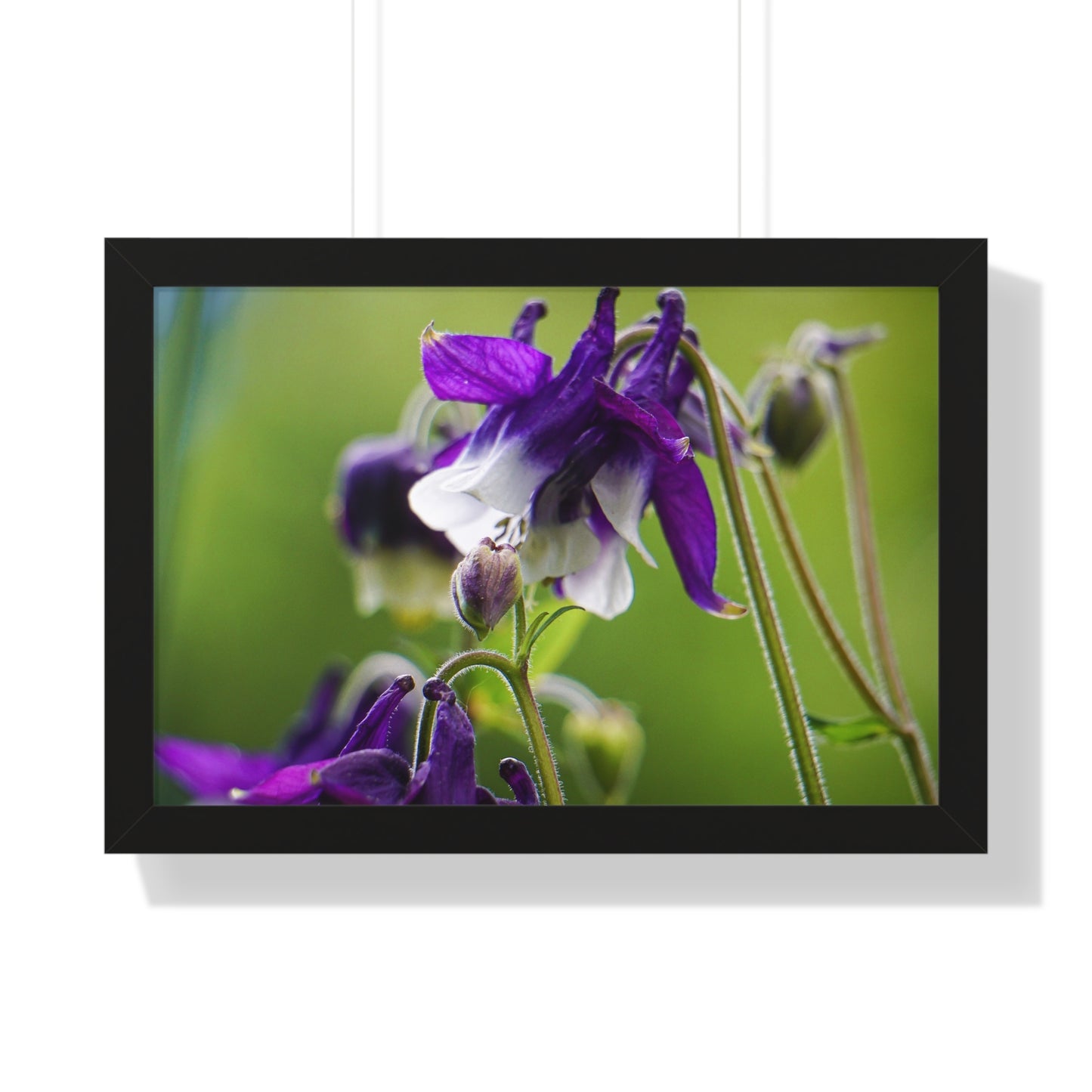 Spring Blooms Framed Matte Print