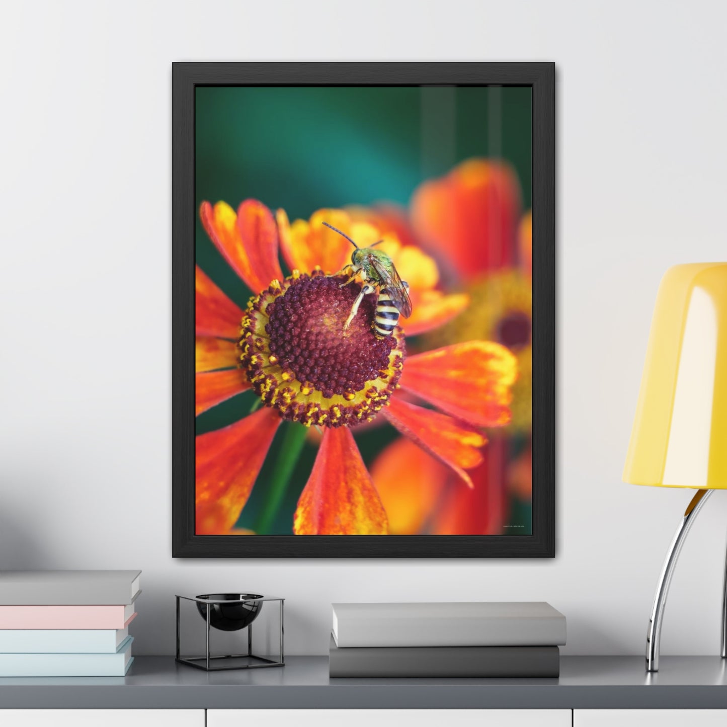 Fashionable Sweat Bee Framed Fine Art Photograph