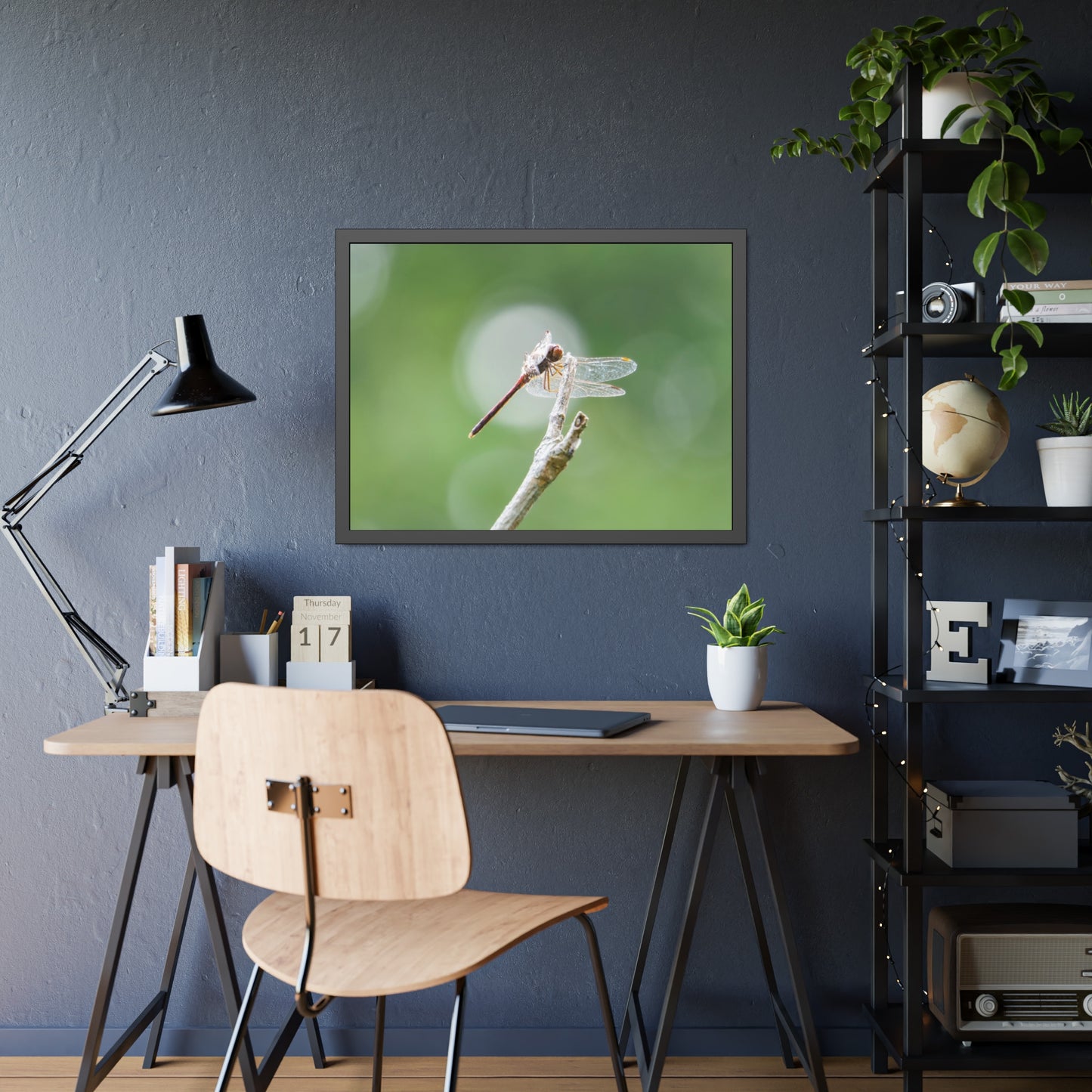 Dramatic Dragonfly Framed Print | Nature Photography