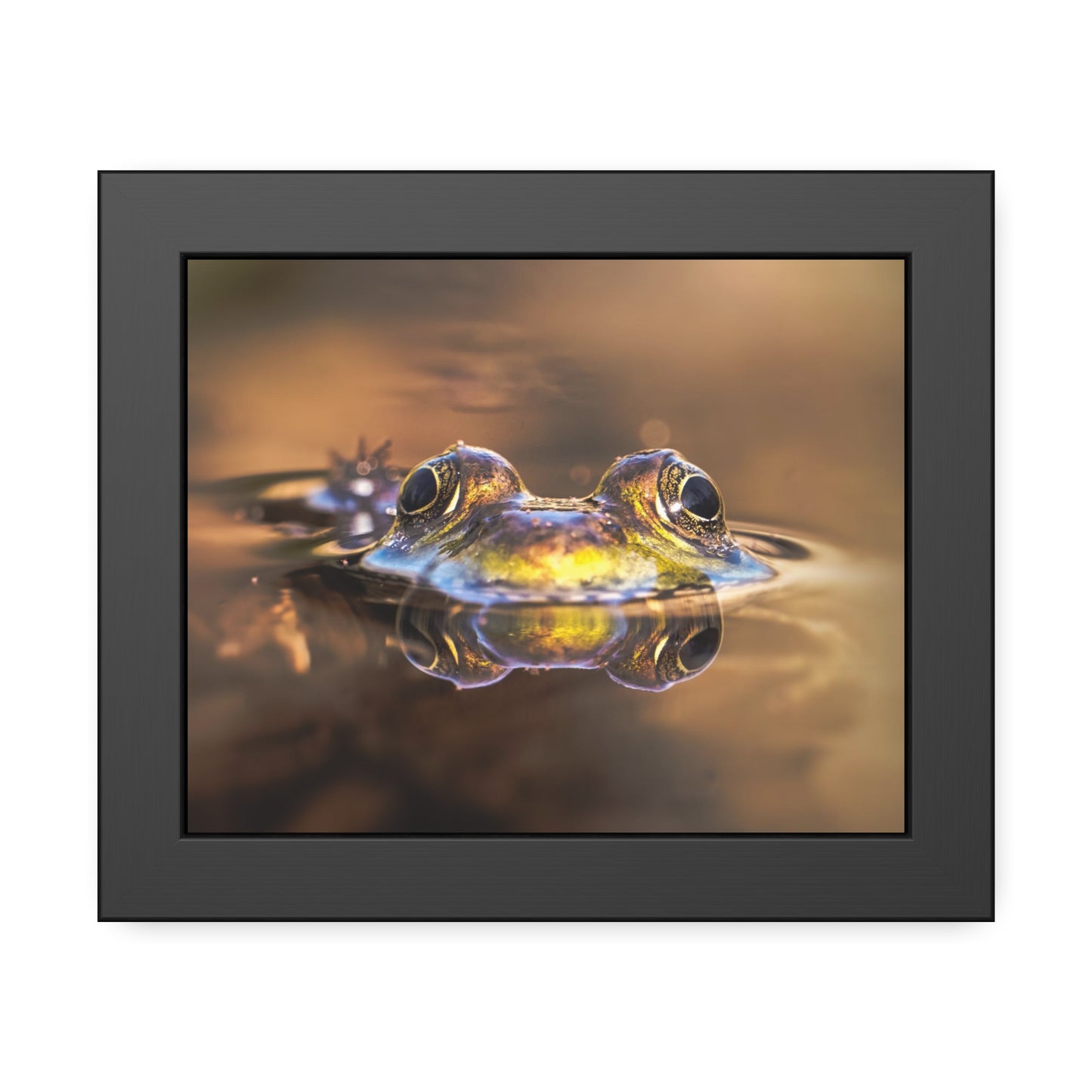 Duality of Frog Framed Print | Nature Photography