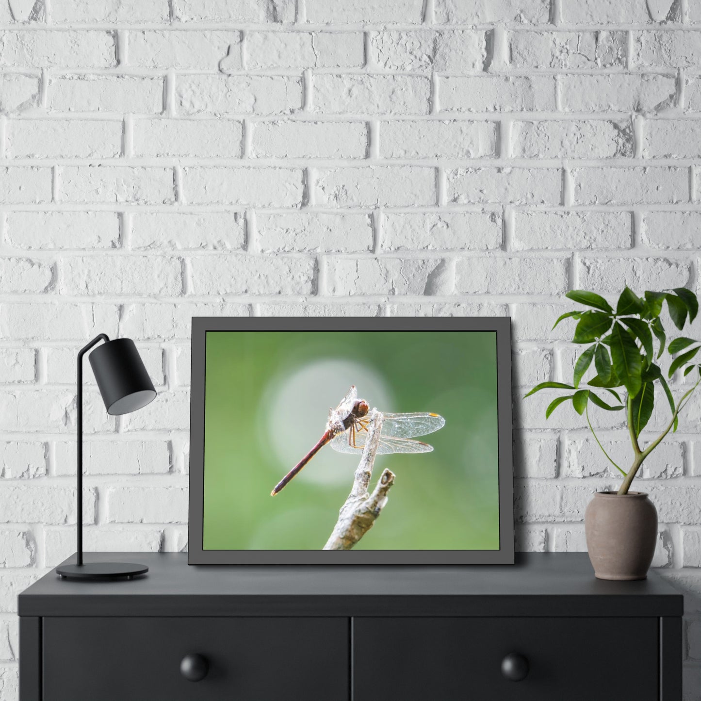 Dramatic Dragonfly Framed Print | Nature Photography