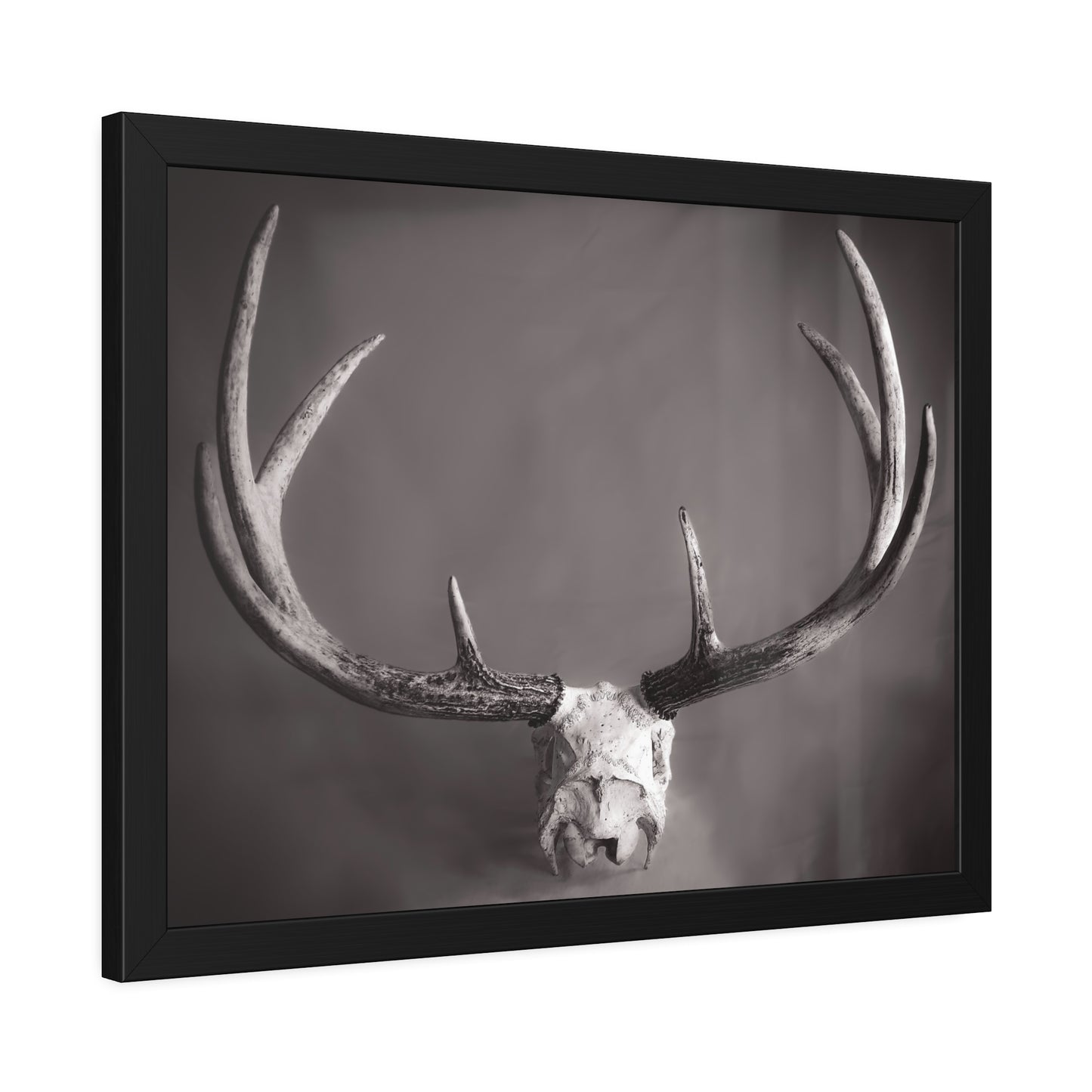 Ghosts of Deers Past Framed Print | Nature Photography