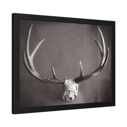 Ghosts of Deers Past Framed Print | Nature Photography
