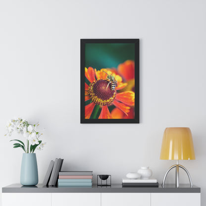 Fashionable Sweat Bee Framed Matte Print