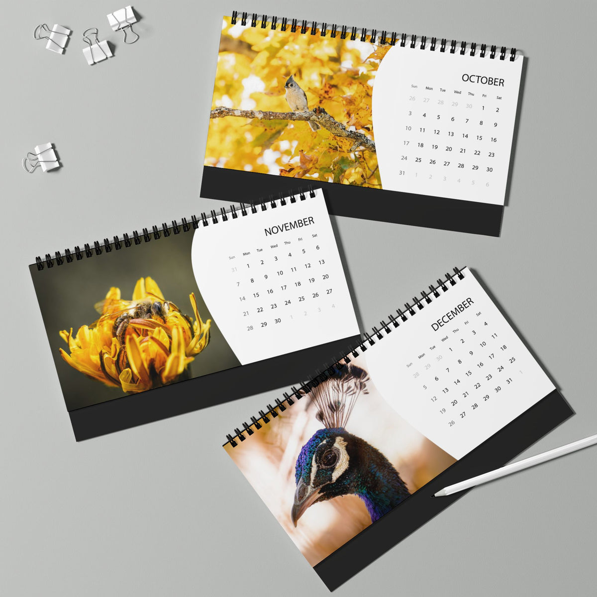 Critters of Whimsy 2027 calendar pages for October through December, featuring a tufted titmouse bird among yellow maple leaves, a bee on a dandelion, and a peacock