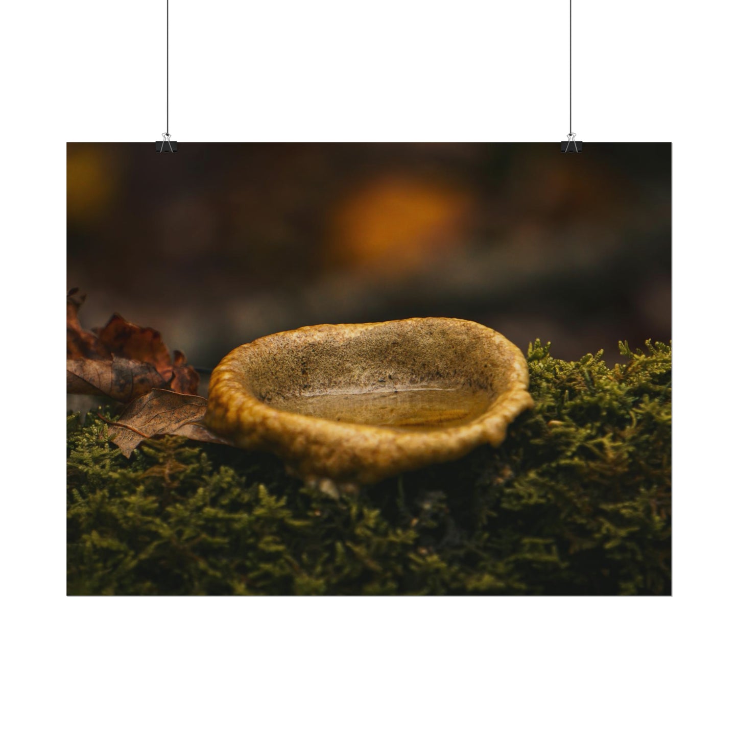 Magical Mushroom Fairy Pond Fine Art Print