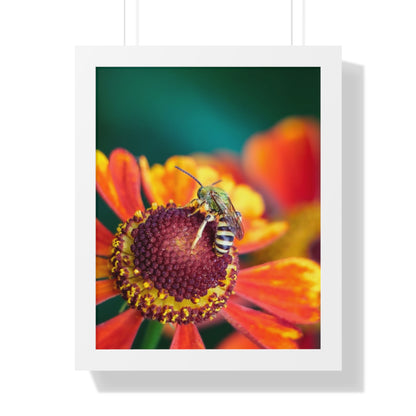 Fashionable Sweat Bee Framed Matte Print