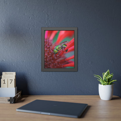 Beautiful Green Bee Framed Print | Nature Photography
