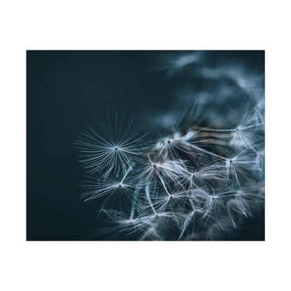 Macro Moody Dandelion Fine Art Print