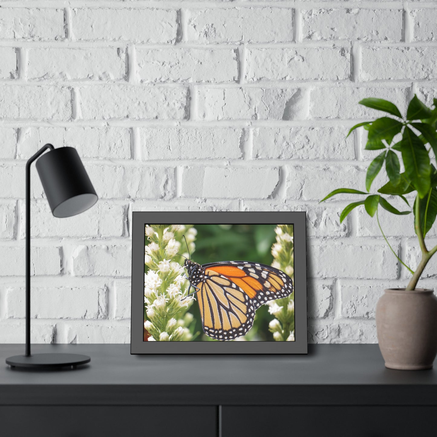 Monarch Butterfly in Garden Framed Print | Nature Photography