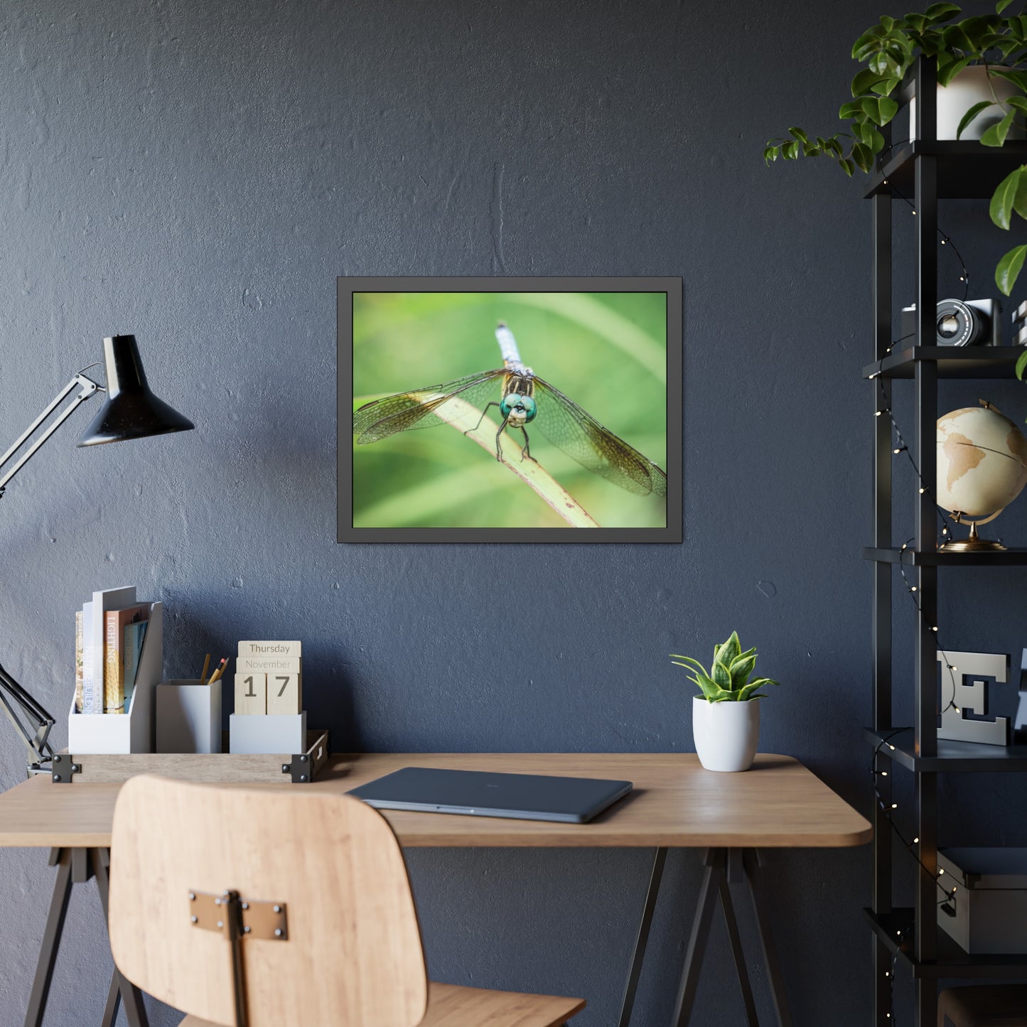 Macro Dragonfly Eyes Framed Print | Nature Photography
