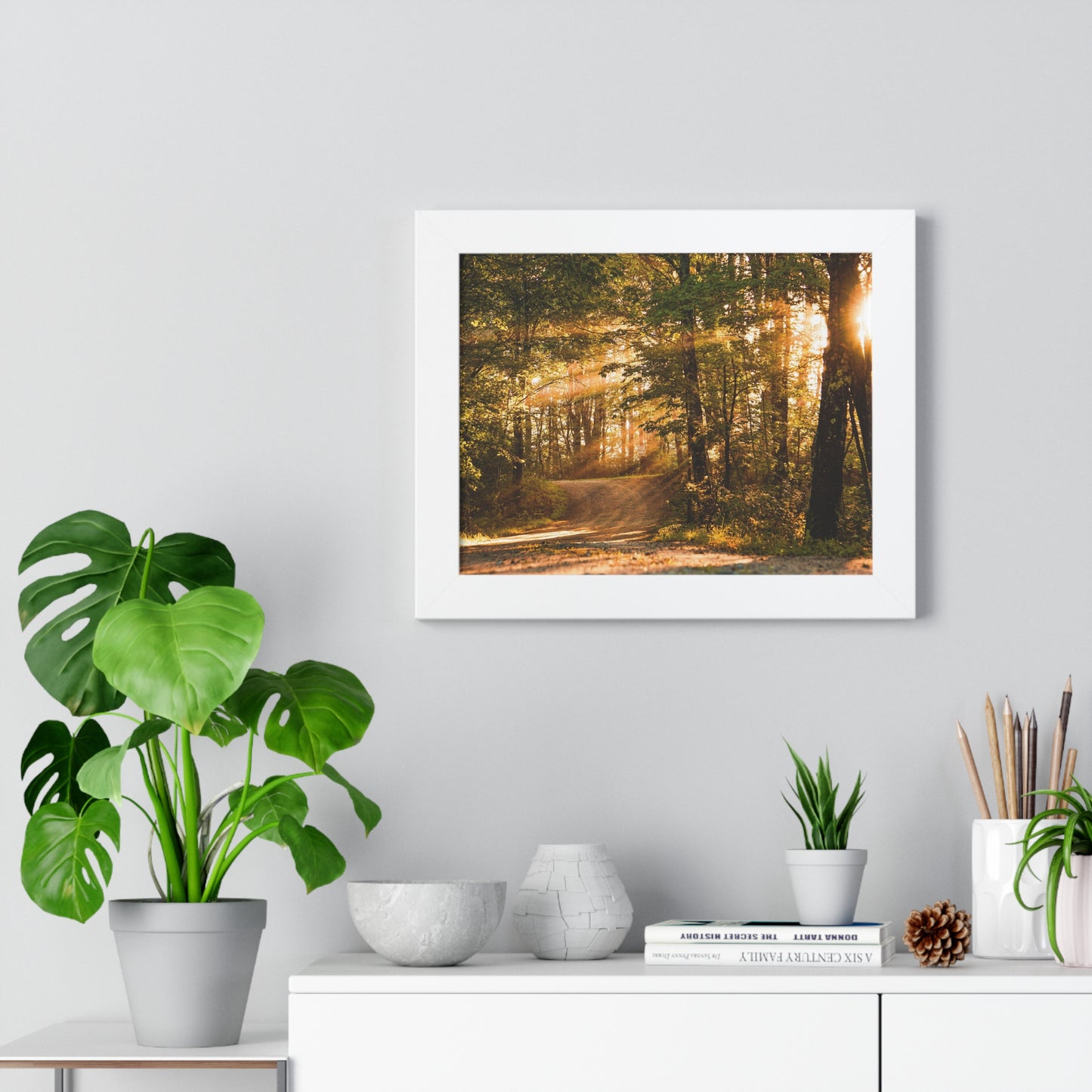 Sunbeams Streaming Onto Forest Path Framed Matte Print