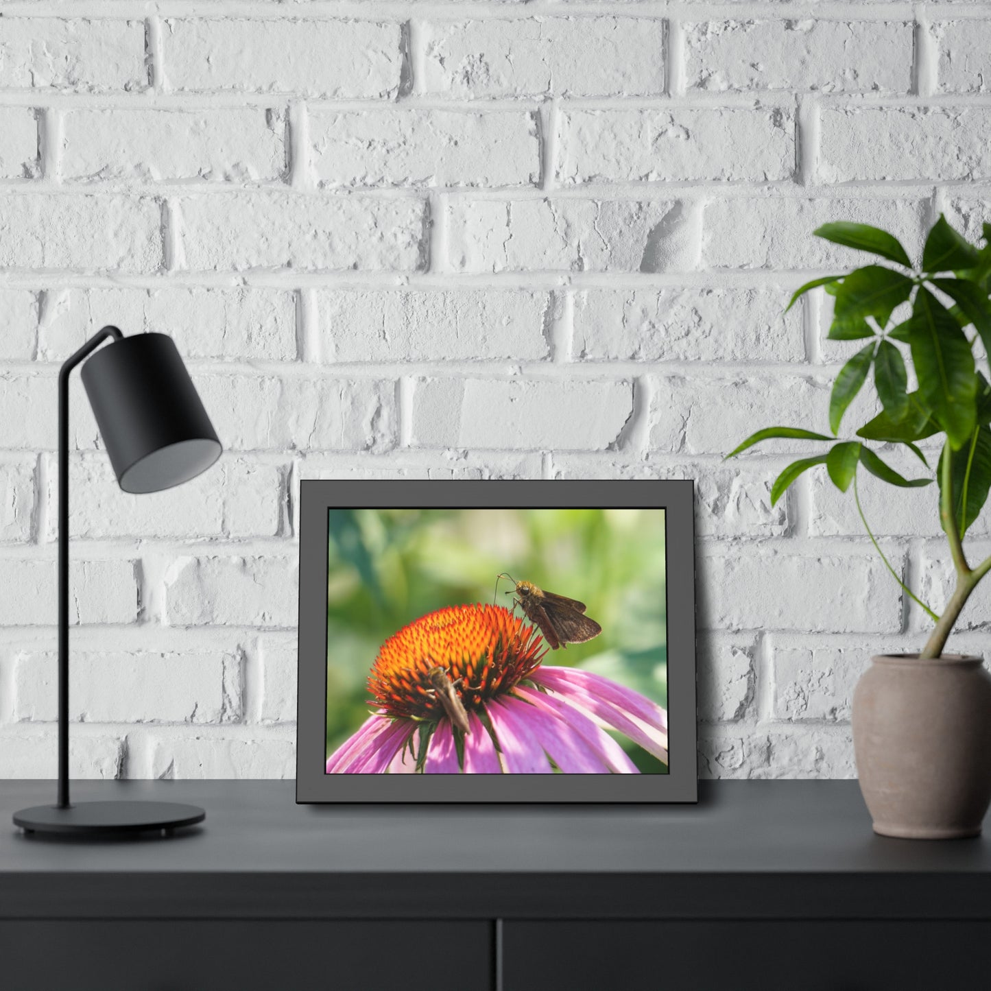 Little Glassywing Butterfly Framed Print | Nature Photography