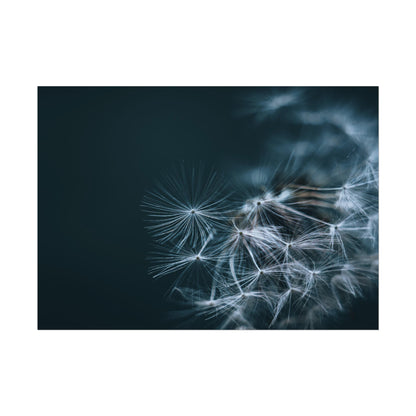 Macro Moody Dandelion Fine Art Print