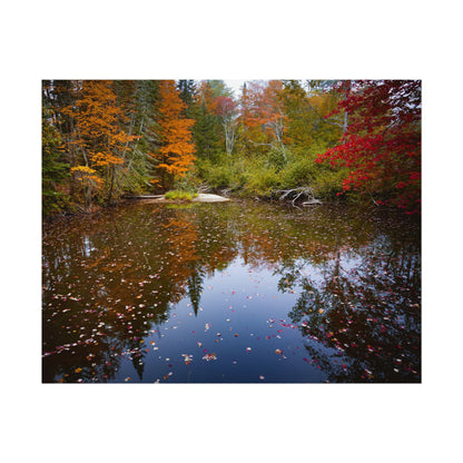 Maine Fall Foliage Waterscape Fine Art Print