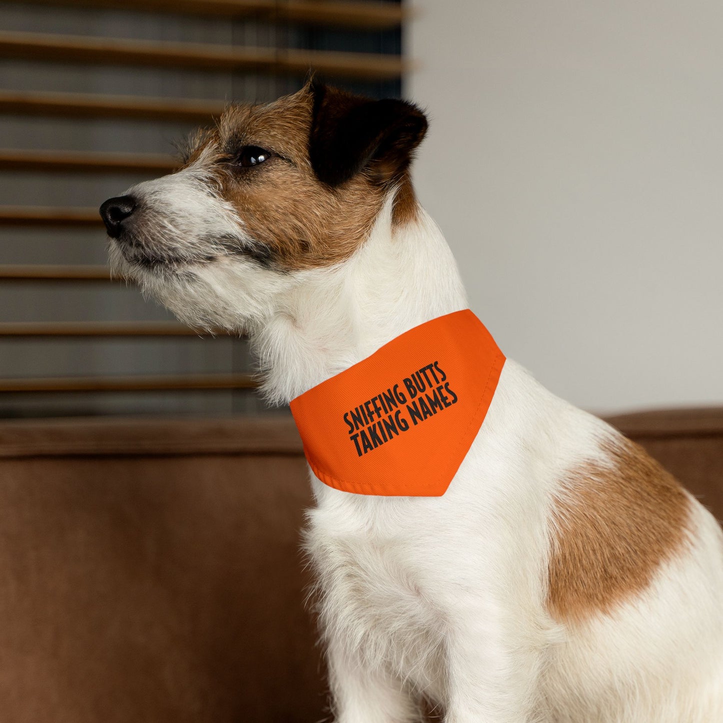 Sniffing Butts Taking Names Safety Orange Pet Bandana