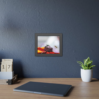 Japanese Beetle and Honey Bee Framed Print | Nature Photography
