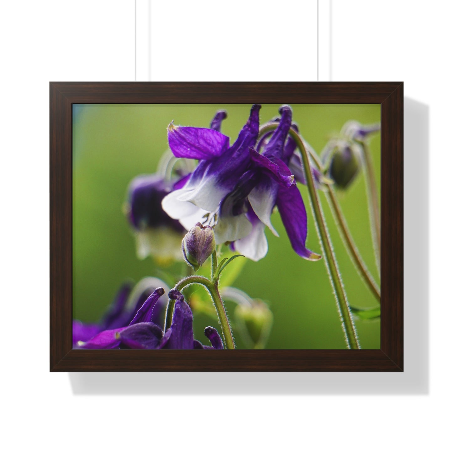 Spring Blooms Framed Matte Print