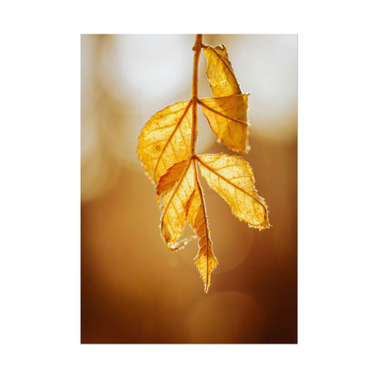 Leaves of Gold Fine Art Print