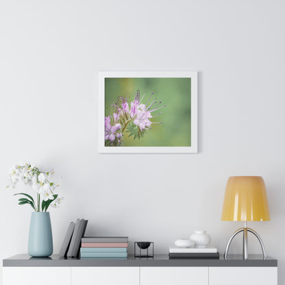 Macro Purple Wildflowers Framed Matte Print