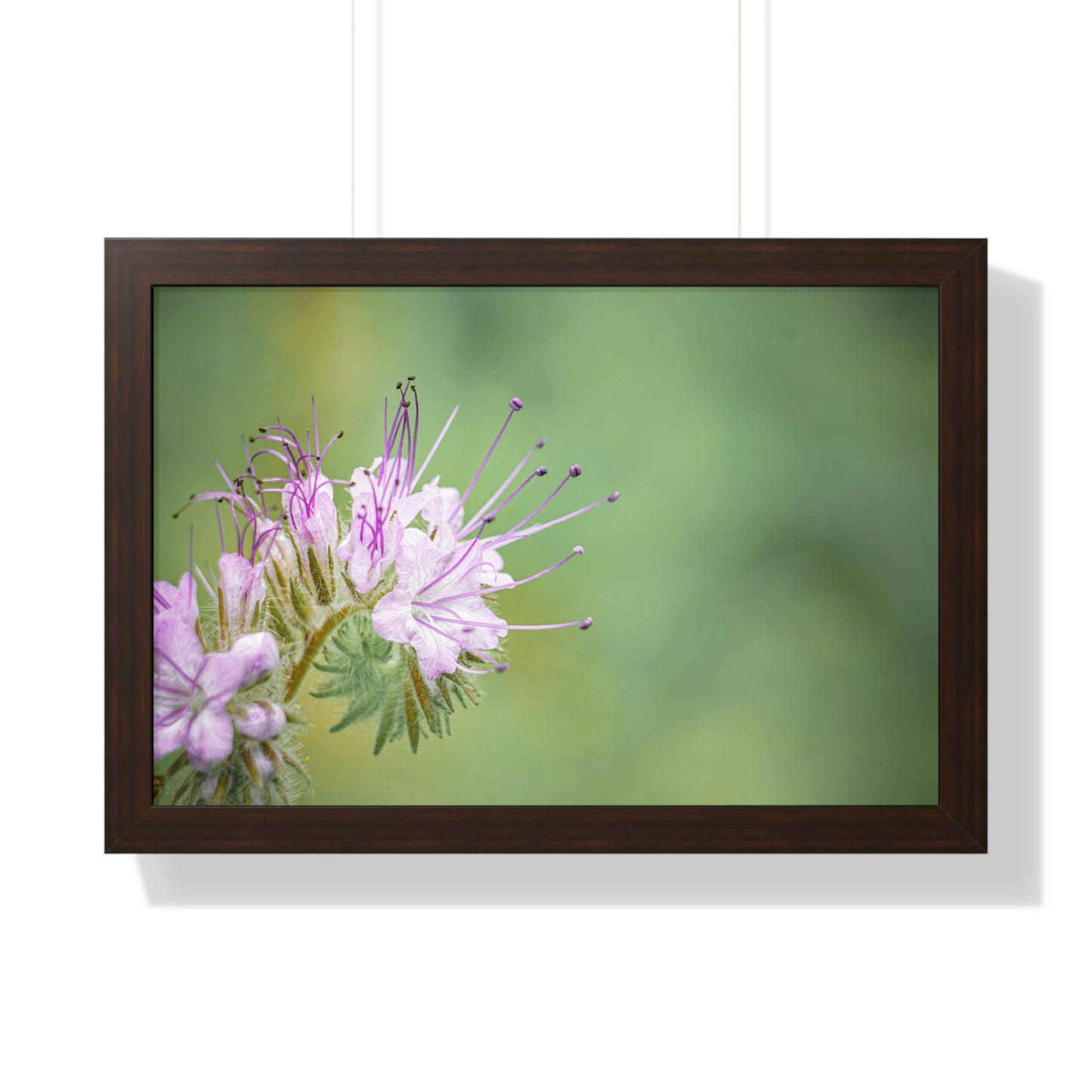 Macro Purple Wildflowers Framed Matte Print