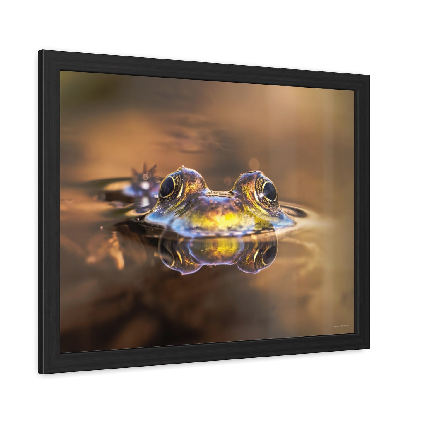 Duality of Frog Framed Fine Art Photograph