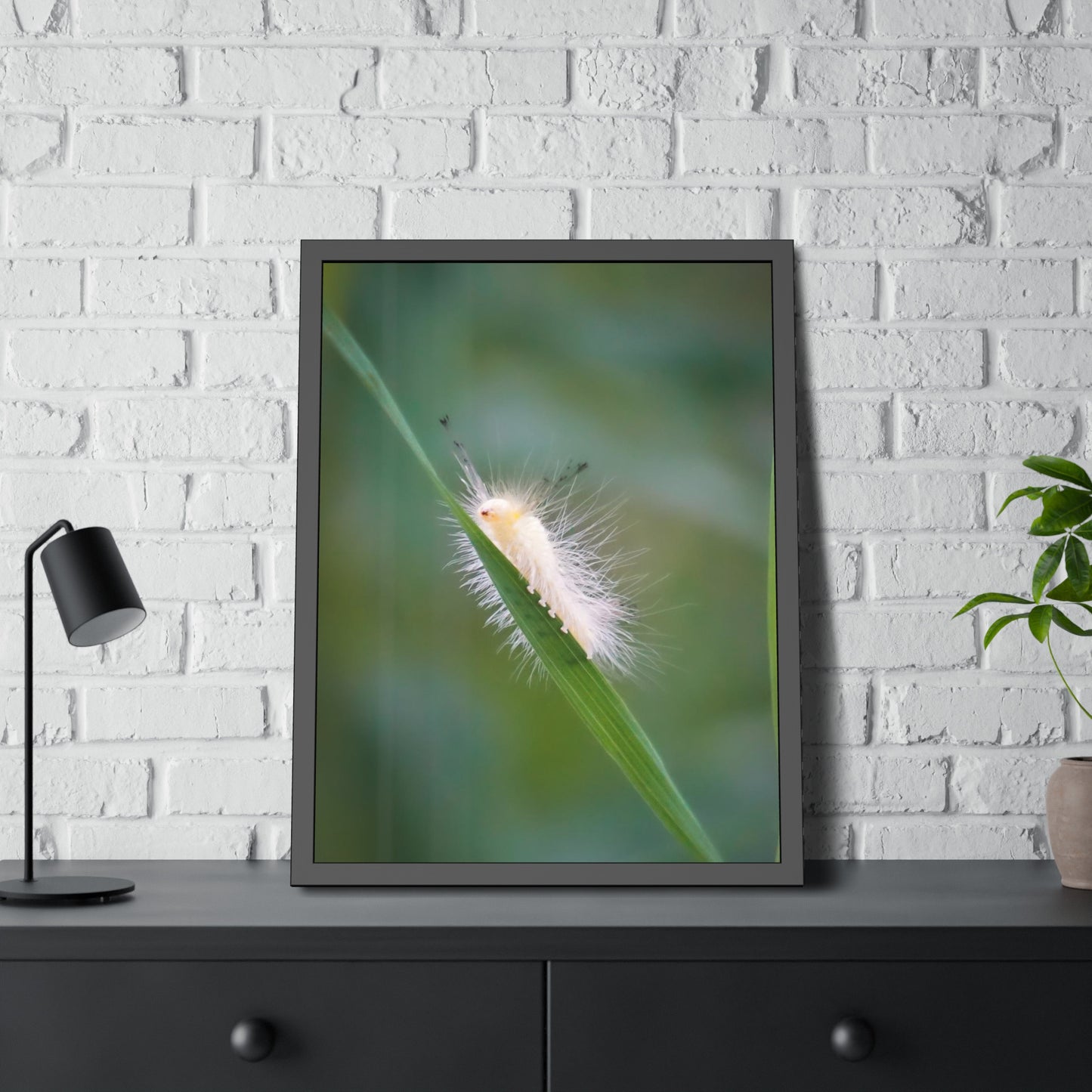 Fuzzy Feets Caterpillar Framed Print | Nature Photography