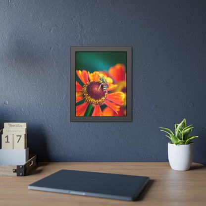 Fashionable Sweat Bee Framed Print | Nature Photography