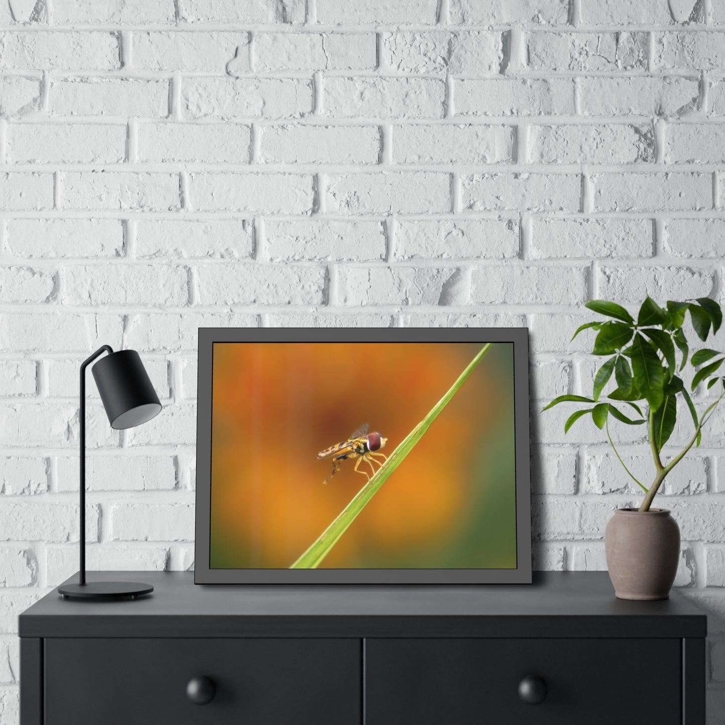 Flower Fly Super Macro Framed Print | Nature Photography