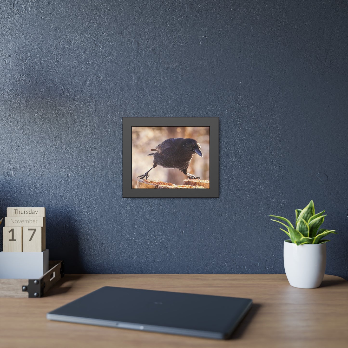 Crow Doing The Splits Framed Print | Nature Photography