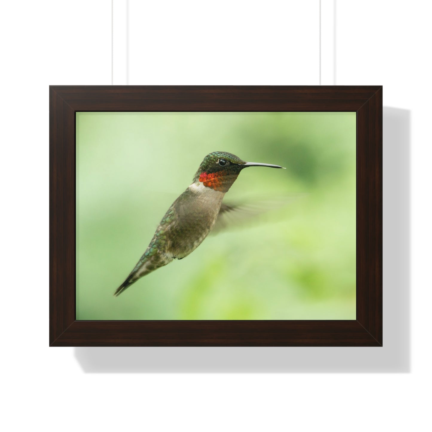 Hummingbird In-Flight Framed Matte Print