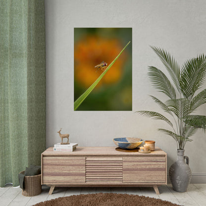 Flower Fly Poses with Orange Flowers Fine Art Print