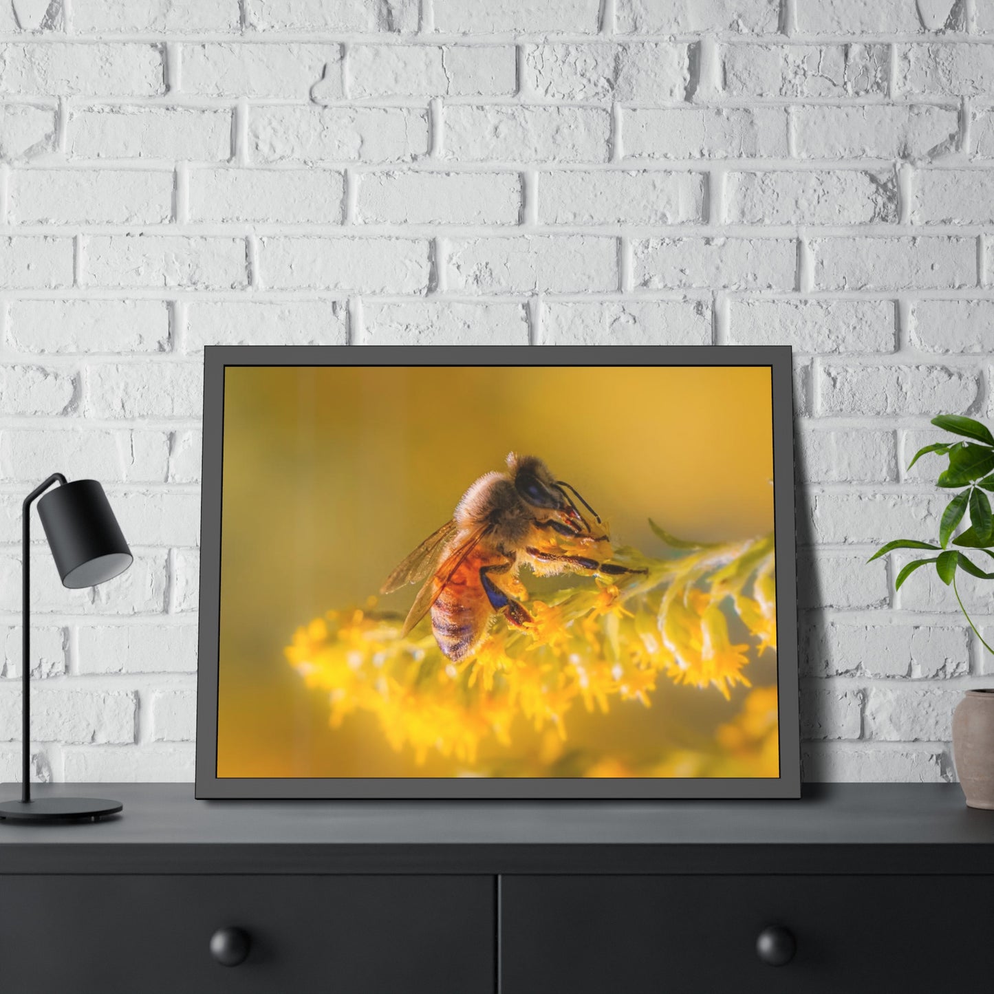 Golden Honey Bee Framed Print | Nature Photography
