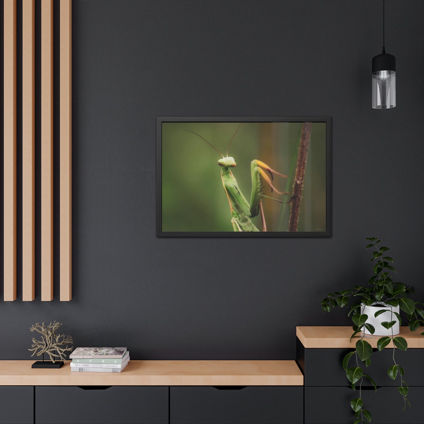 Majestic Mantis Framed Fine Art Photograph