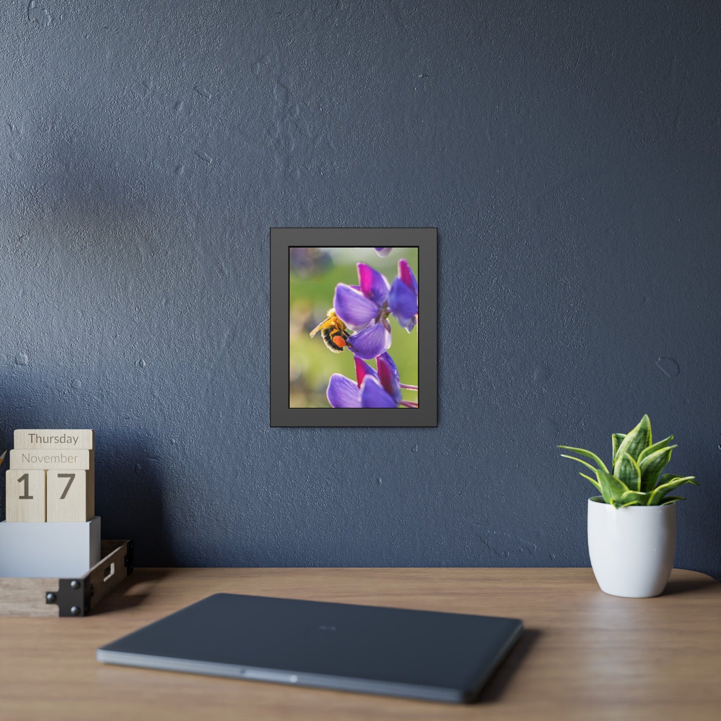 Bumble Bee Pollinates Lupine Flowers Framed Print | Nature Photography