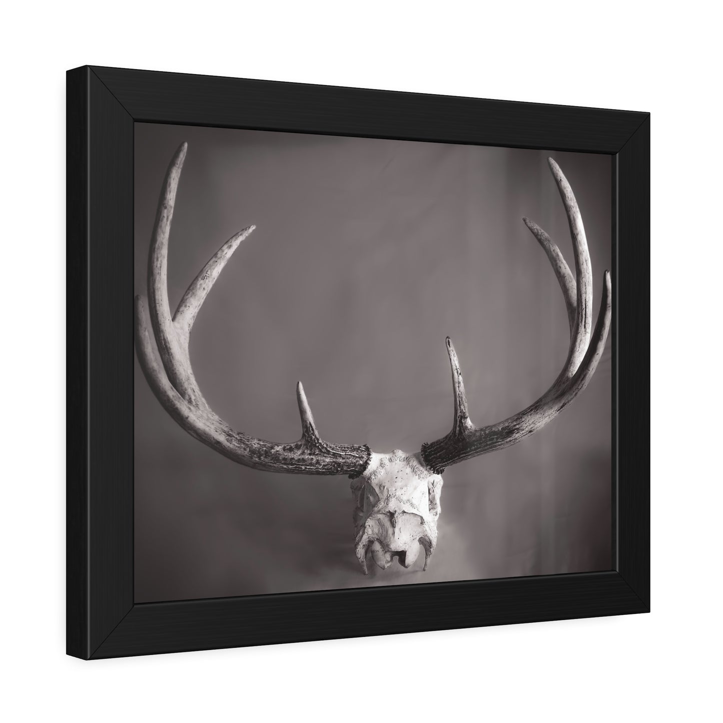 Ghosts of Deers Past Framed Print | Nature Photography