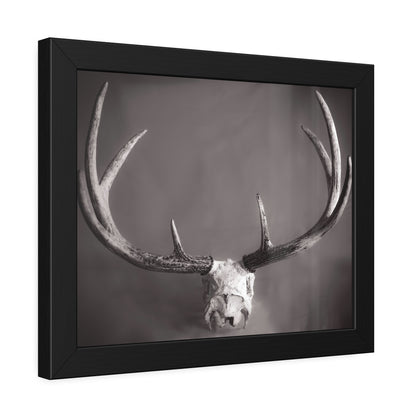 Ghosts of Deers Past Framed Print | Nature Photography